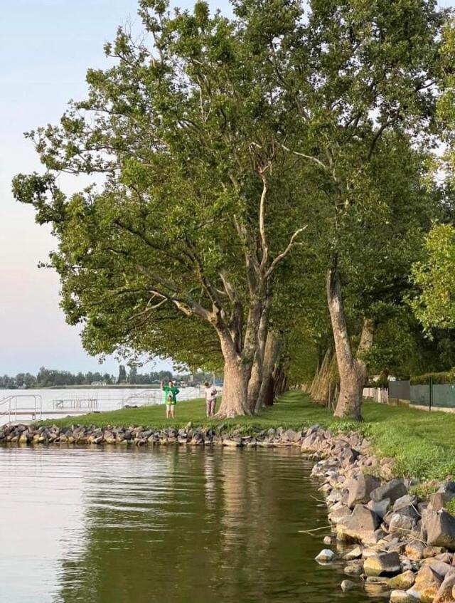 Rozsa Nyaralohaz Villa Balatonboglar Ngoại thất bức ảnh