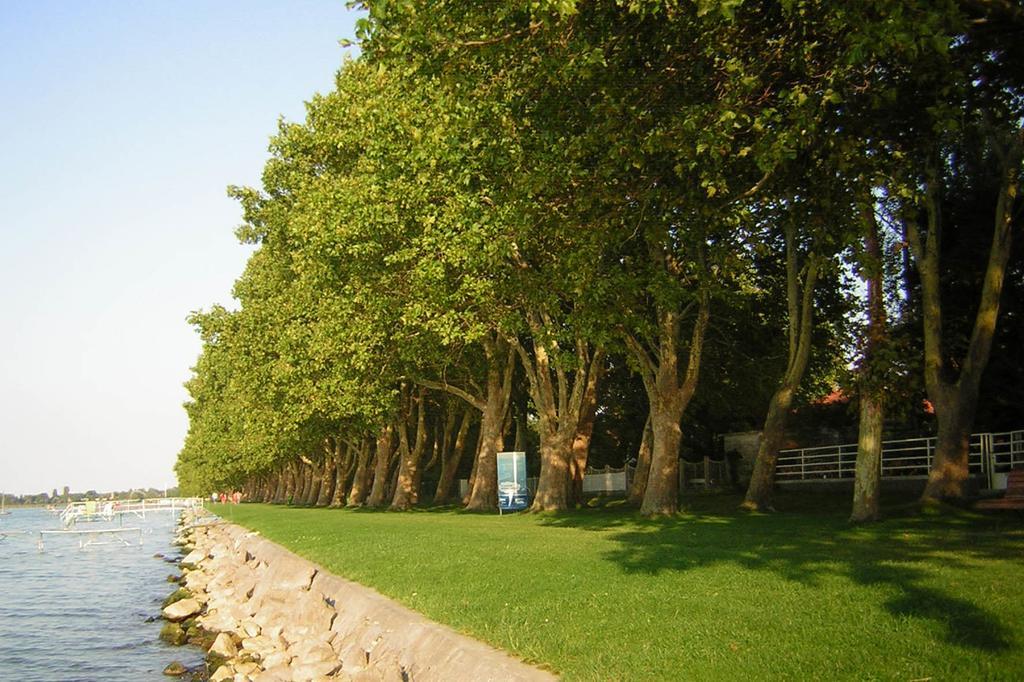 Rozsa Nyaralohaz Villa Balatonboglar Ngoại thất bức ảnh